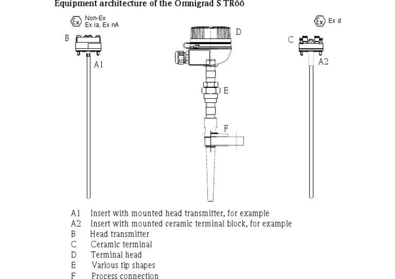 Endress Hauser TR66 PDF | PDF