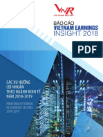 BC Vietnam Earnings Insight 2018 (Published)