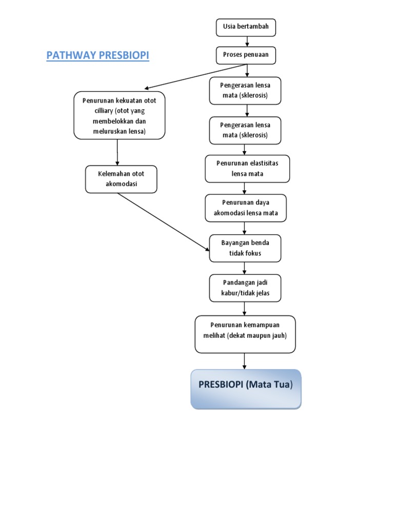 Pathway Presbiopi dan Penuaan Mata | PDF