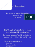 Cell Respiration: The Process by Which Cells Turn Food Molecules Into Cell Energy