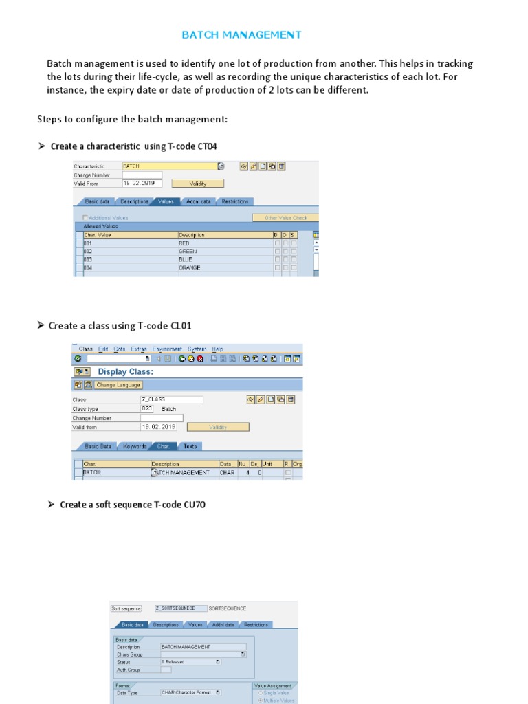 Batch Management: Create A Characteristic Using T-Code CT04 | PDF