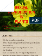 Sexual Reproduction in Plants