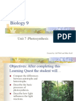 Biology 9 Unit 7 - Photosynthesis