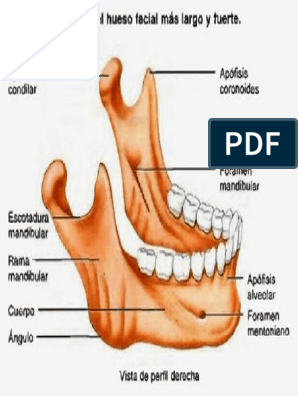 PDF ] A MANDÍBULA DE CAIM - PT-PT : r/MandibulaCaimPORTUGAL