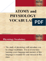 Ana Phy Vocabulary