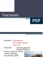 Fascioliasis