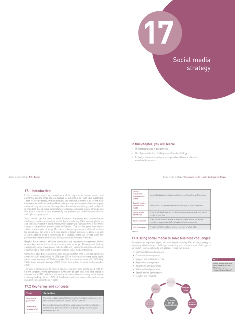 Social Media Strategy Guide | PDF | Social Media Marketing | Social Media