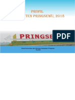 Profil Pringsewu 2018