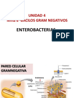 Clase N°8-Unidad 4-Tema 6-Bacterias Gram Negativas