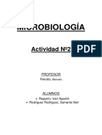 Estructura Interna y Externa de La Célula Procariota