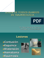 Lesiones Basicas en Traumatologia Final