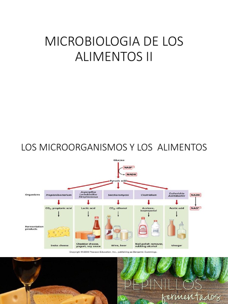 Microbiología de los Alimentos II | PDF
