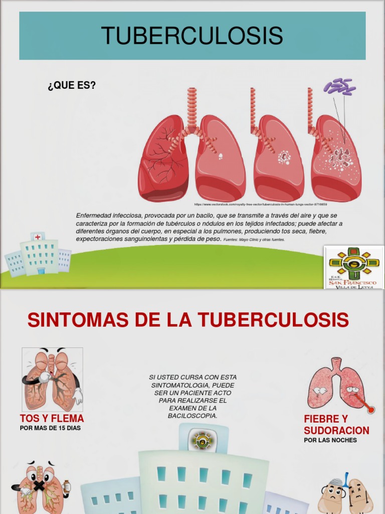 Color y características de la flema en TBC | PDF | Tuberculosis ...