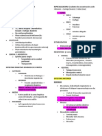 Sistema Digestivo