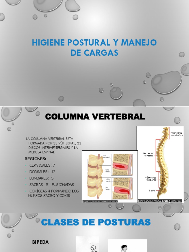 Higiene Postural y Manejo de Cargas | PDF | La columna vertebral | Vértebra