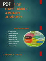 Tipos de Capelania