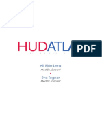 Hudatlaspdf 1