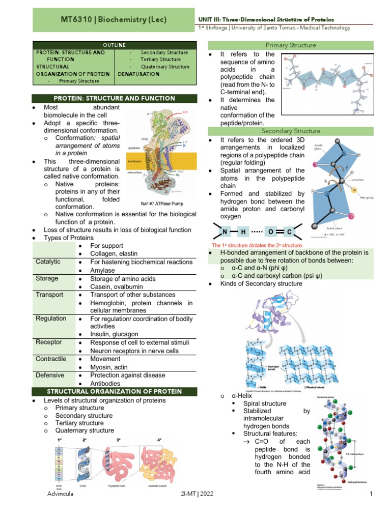 BIOCHEM 3 Three Dimensional Structure of Proteins | PDF | Protein ...