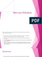 Mercury Pollutrion