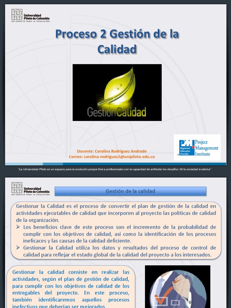Gestión de la Calidad en Proyectos | PDF | Gestión de la calidad ...