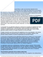 3 SISTEMA ENDOCRINO.pdf