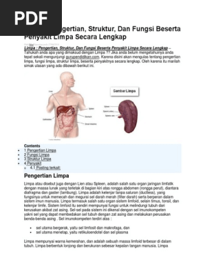 Limpa Lien Pdf