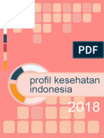 Profil Kesehatan Indonesia 2018