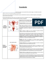 Guía de Fecundación y Embarazo