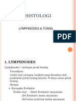 Lymphnodes Dan Tonsil