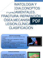 Fracturas óseas: clasificación, mecanismos, diagnóstico y reparación