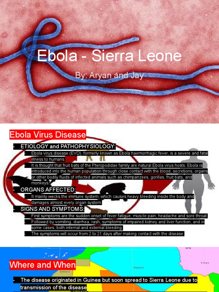 Ebola Sierra Leone Pdf Ebola Virus Disease Animal Diseases