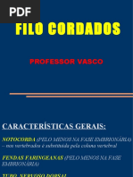 filocordados