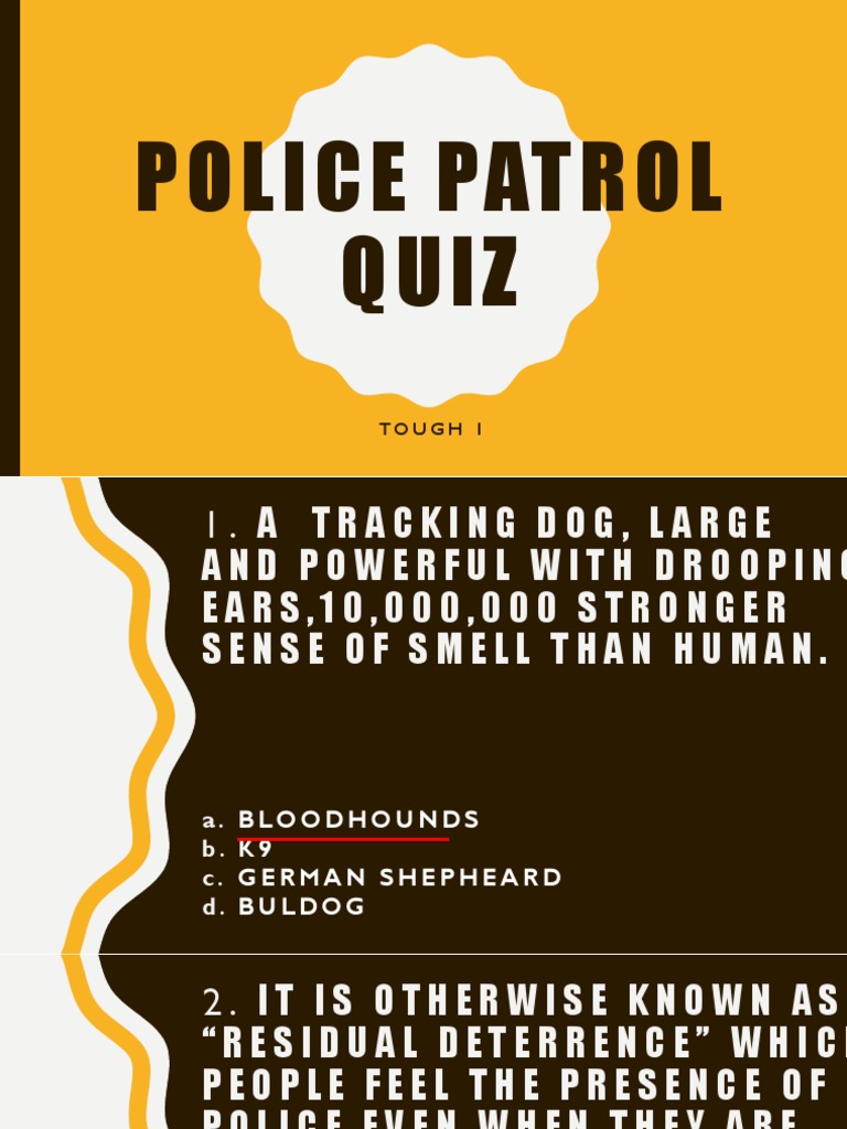 AK-Police Patrol Quiz | PDF | Violence