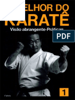 O Melhor Do Karate Fundamentos Básicos