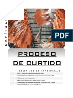 220547731-CAPITULO-7-Proceso-de-Curtiembre-pdf.pdf