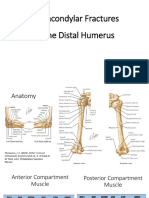 Supracondylar Fractures of The Distal Humerus