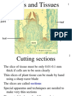 1-cells-tissues.ppt