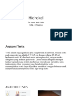 Hidrokel