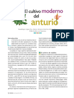 Anturio PDF