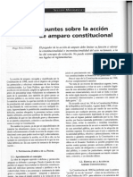 Apuntes Sobre La Accion de Amparo Constitucional