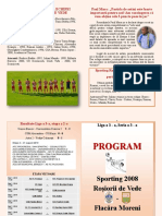 PROGRAM DE MECI.pdf