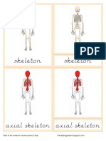 Parts of The Skeleton Nomenclature Cards PDF