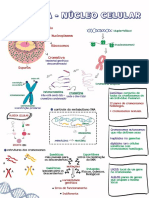 Mapas-mentais.pdf