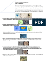 + ++géneros Importantes de Mohos y Levaduras