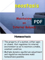 Homeostasis: Maintaining An Internal Balance