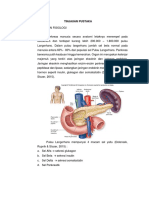 Anatomi dan Fisiologi Pankreas