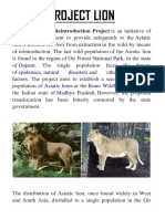 Project Lion: Panthera Leo Leo