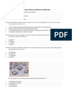 Soal Biologi Kelas 8 Fungsi Dan Struktur Tumbuhan