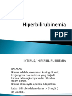 HIPERBILIRUBIN