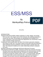 ESS and MSS Basic HCM Customizing Settings